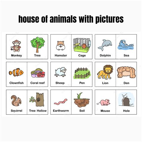 Name of Animals and Their Homes - Genarticle