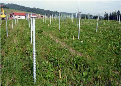 fast installation helical screw piles silver  solar energy plant