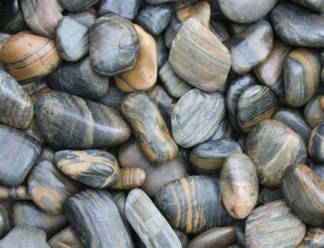 Polished Tiger Stripe Pebbles Kg Sapar Landscaping Supplies