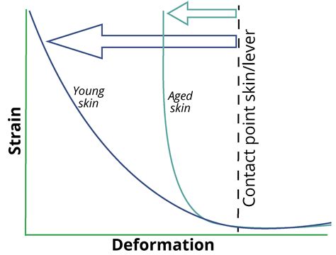 Glomeca Skin Mechanical Behaviour Through Lifespan Biomeca