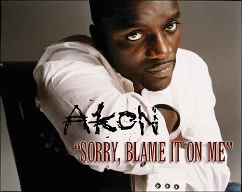 Akon Sorry Blame It On Me