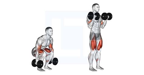 Dumbbell Biceps Curl Squat Guide Benefits And Form