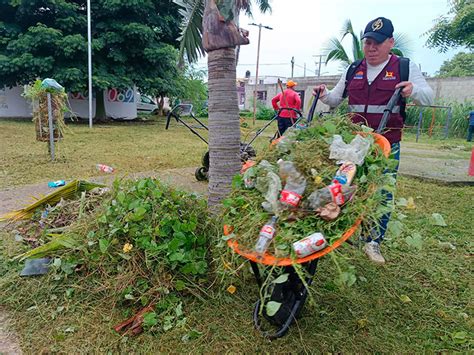 Intensifican Trabajos De Podado Y Limpieza En Espacios P Blicos De Chetumal