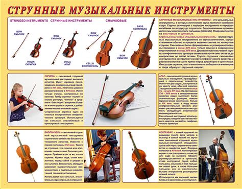 Струнные инструменты названия с картинками - Фото подборки 3