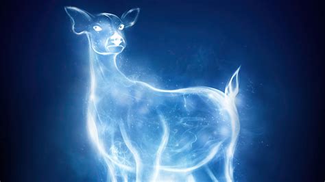 Download Harry Potter Doe Patronus Wallpaper | Wallpapers.com