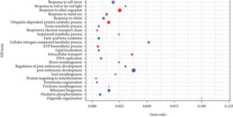 Functional Enrichment Analysis Of The Stage Specific Modules Ad