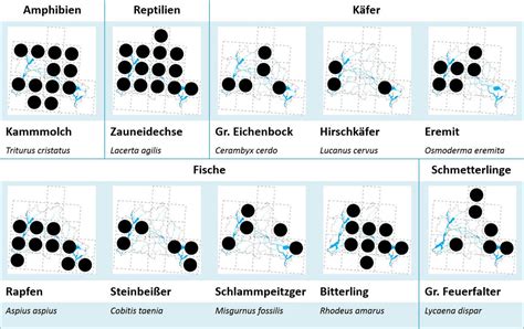 Ffh Richtlinie Und Natura Stiftung Naturschutz Berlin