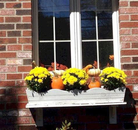 36 Popular Fall Window Boxes Design Ideas Fall Window Boxes Fall