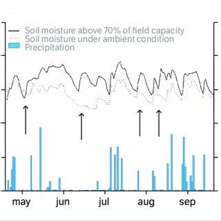 Mean Daily Soil Moisture Cm 3 Cm 3 In Experiments With Soil