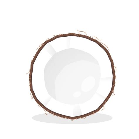 Coconut Cut in Half 1082649 Vector Art at Vecteezy