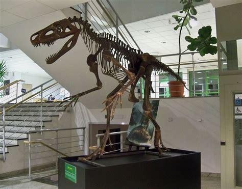 Ya Guys Know About Smok The Giant Archosaur That Looked Like A Raptor