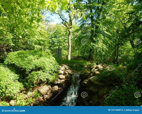 Beautiful Summer Landscapes in Europe Stock Photo - Image of sweden, nice: 141166014