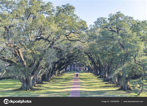 Oak Alley Plantation, Louisiana – Stock Editorial Photo © jovannig ...