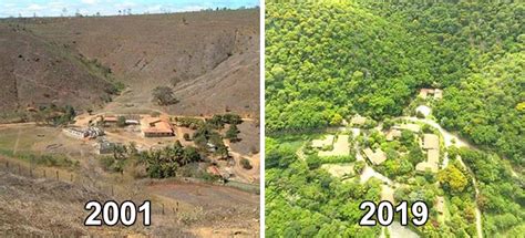 Photographer And His Wife Plant 2 Million Trees In 20 Years To Restore