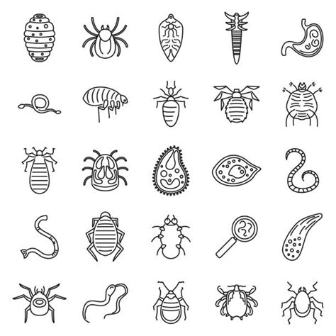 370 Tapeworm Icon Stock Illustrations Royalty Free Vector Graphics