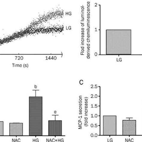 ROS play a key role in the high glucose induced secretion of TNFα and