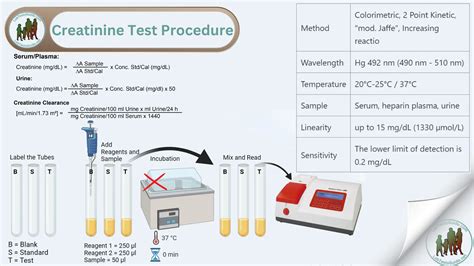 Creatinine Test Procedure, Principle, Result Interpretation and more ...