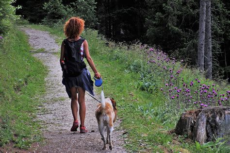 Actualité Val de Travers Les chiens doivent être tenus en laisse en