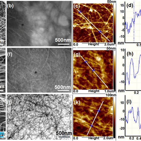 Morphology Of Nanocellulose Derived From Three Different Biomass