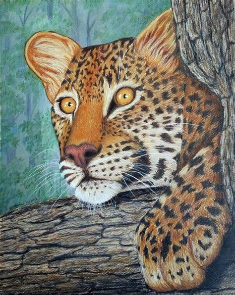 40 Beautiful Colored Pencil Drawings Colored Pencil Art Harunmudak