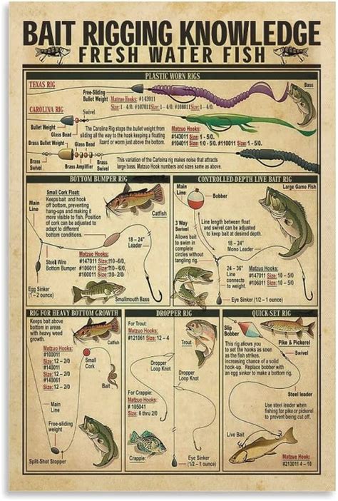 Vintage Posters Bait Rigging Knowledge Fresh Water Fish Poster of ...