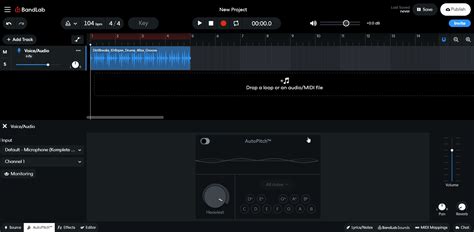 How Do I Use The Tuner BandLab Help Center