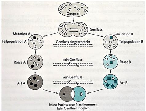 Mechanismen Der Evolution Karteikarten Quizlet