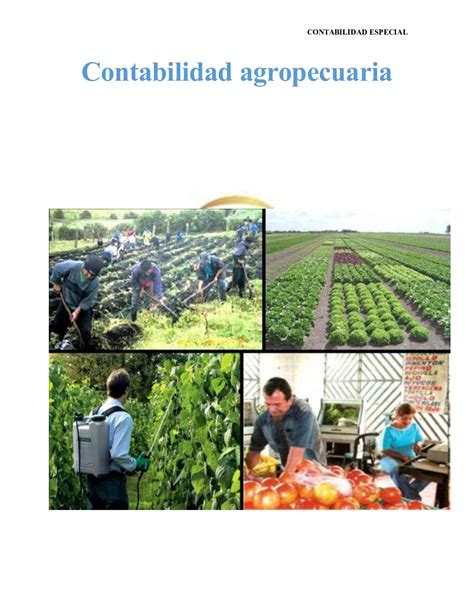 Calaméo Contabilidad Agropecuaria