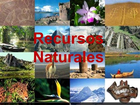 Que Son Los Recursos Naturales