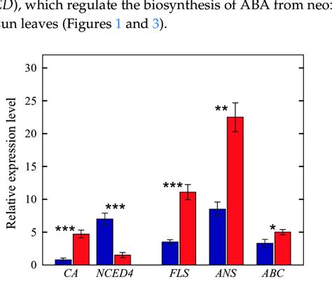 Relative Expression Levels Of Selected Genes Regulating The Synthesis Download Scientific