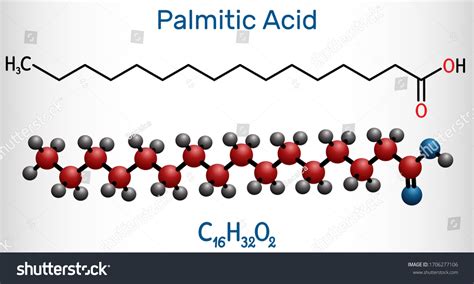 173 Palmitic Acid Structure Images, Stock Photos, 3D objects, & Vectors ...