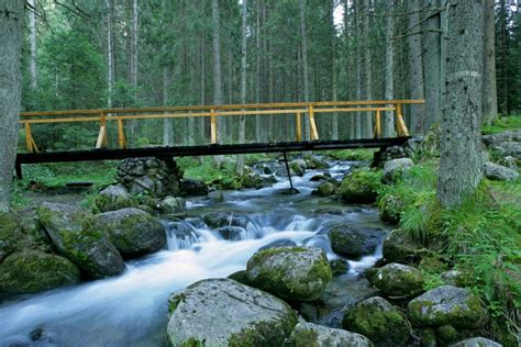 Národný Park Nízke Tatry Slovakiatravel