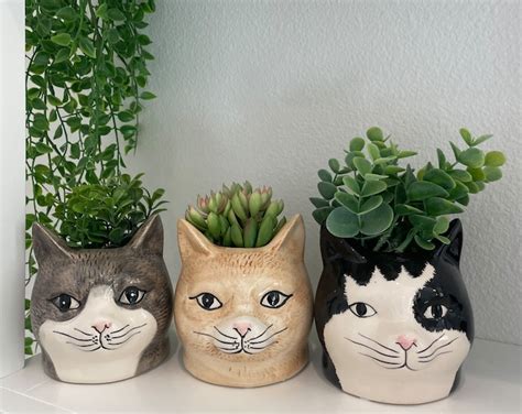 Cat Head Planter Indoor Planter Unique Ceramic Planter Cat Lover T