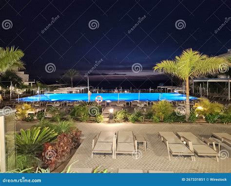 Spacious Pool Surrounded by Palms and Lit Lamps at Night Stock Image ...