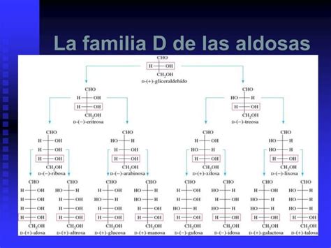 Carbohidratos Ppt