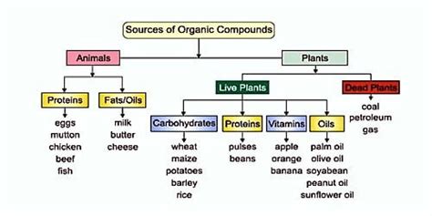 Sources of Organic Compounds - QS Study