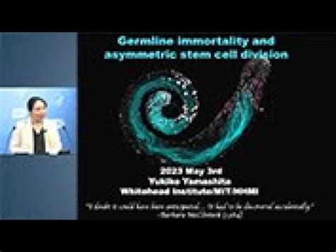 Germline Immortality And Asymmetric Stem Cell Division Youtube