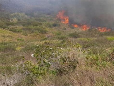 Incendio Forestal En Santander Deja 80 Hectáreas Afectadas