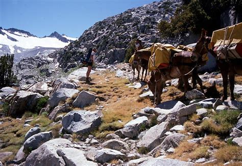 Tuesday S P M Hot Clicks Sports Illustrated