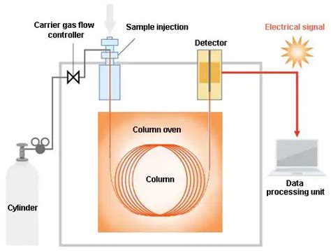 Schematic Diagram Of Gas Chromatography Circuit Diagram