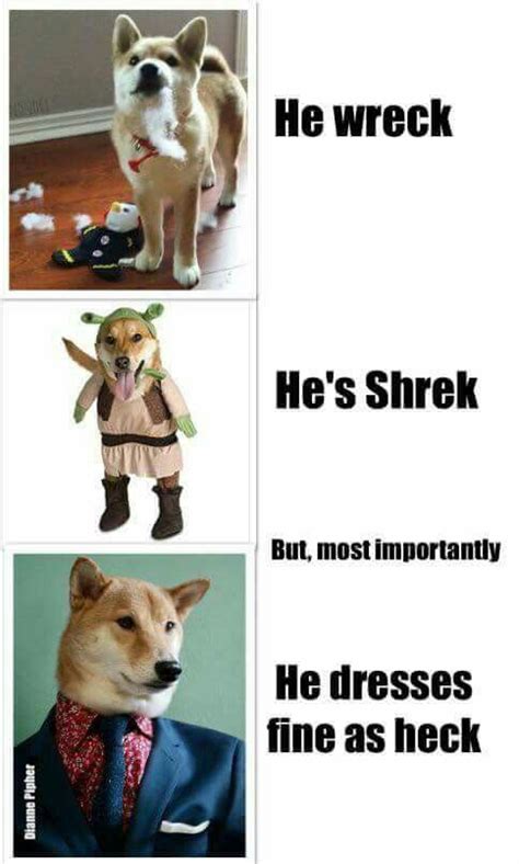 Four Different Pictures Of Dogs Dressed Up In Clothes And Ties With