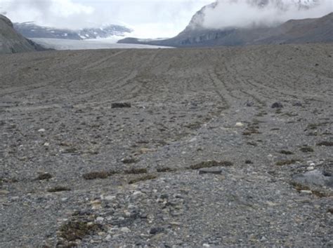 Glacial depositional landforms Flashcards | Quizlet