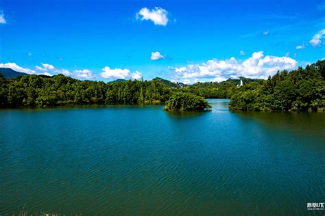 强化生态修复 建设生态达州④ ——莲花湖湿地公园在生态修复中的蜕变 达州市 凤凰山下 Powered By Discuz