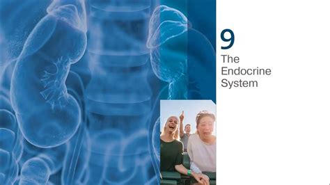 Aap 301 Lecture 9 The Endocrine System Youtube