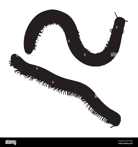 Vector Illustration Of Millipede Silhouette Stock Vector Image And Art