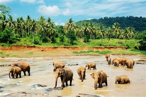 Explore Sri Lanka Within 6 Days 5 Nights Explore Sri Lanka Within 6