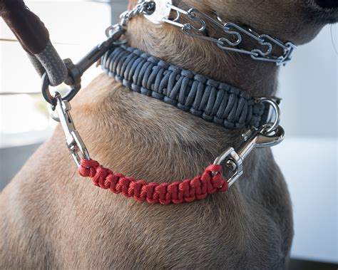 Dog Collar Safety Leash Prong Collar Back up Strap Clip - Etsy