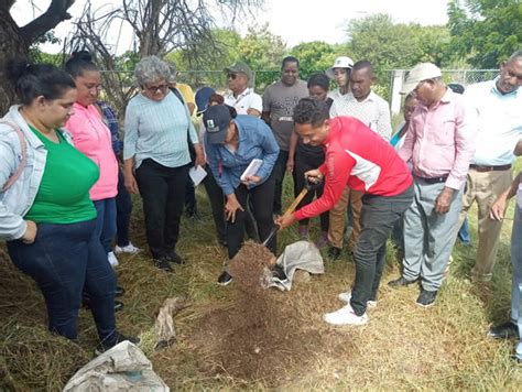 Centro Para El Desarrollo Agropecuario Y Forestal Cedaf