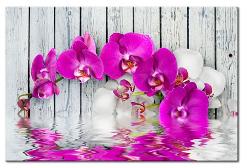 Wandbild Harmonie Orchidee Orchideen Blumen Wandbilder