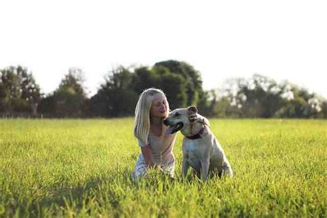 Quel Est Le Meilleur Chien D Attaque Quel Est Le Meilleur